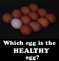 Which egg is the HEALTHY egg?